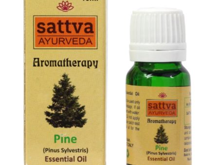 Aromatherapy Essential Oil olejek eteryczny Pine 10ml Online Hot Sale