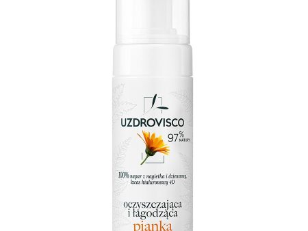 Fitoaktywna pianka oczyszczająca i łagodząca do mycia twarzy 150ml Cheap