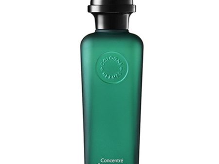 Concentre d Orange Verte woda toaletowa spray 100ml Online now