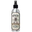 Grooming Spray tonik do stylizacji włosów Matt Hold 200ml Online now